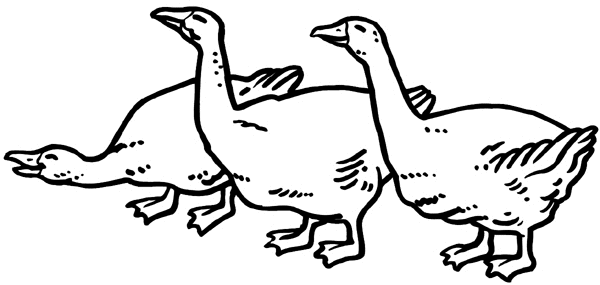 Three geese in a row vinyl sticker. Customize on line.       Animals Insects Fish 004-0954  